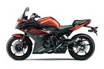 2011-Yamaha-FZ6Ra.webp