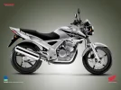 moto6 cbx250.webp