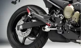 Rizoma pegs XJ6.webp