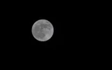 moon.webp