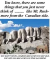 mt rushmore.webp