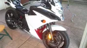 FZ6R White No Tank.webp