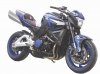 Chromia-Motorbike_1301004859.jpg