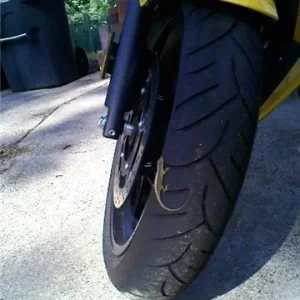 FZ6R_Lizard_3