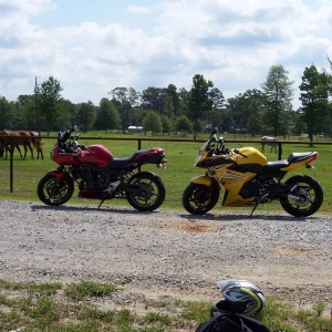 Stopped for a bite to eat