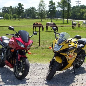 Playing with the ponies