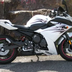 user7242_pic3346_1239898914