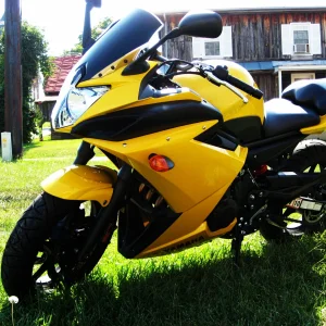 jspansel's yellow stripped FZ6R