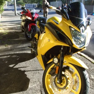 Yummy Yellow's first run