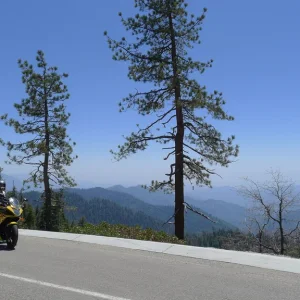 Sequoia National Park