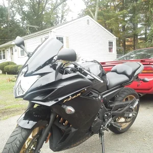 pyro7478's 2010 raven