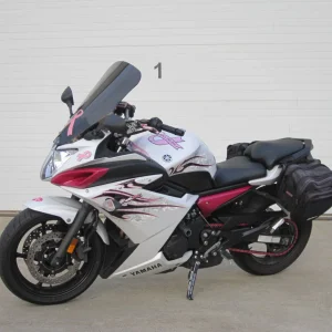 FZ Pink!  Support Breast Cancer Awareness!