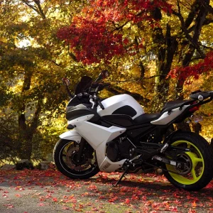 December 2012 BOTM Entry