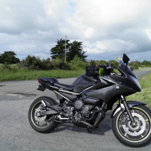 ...aint she so puurrdie