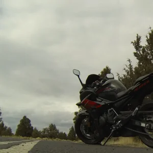 Pepper and ProngHorn