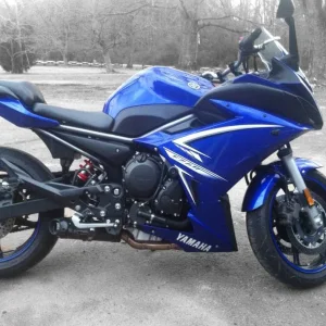 sweet spring in the down south