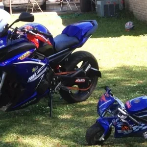 Like father; like son