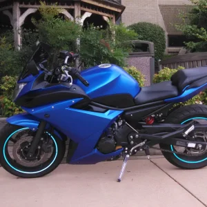 World Rally Blue Dipped FZ6R