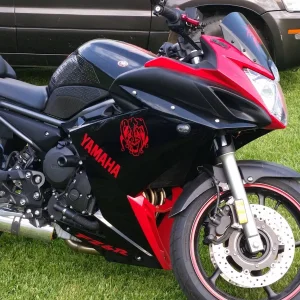 Choppers painted 2013 FZ6R