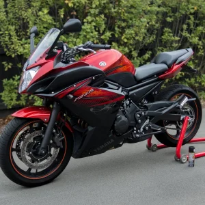 My FZ6R lubed and ready to go...