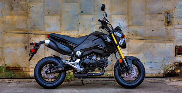 GROM_2014_01.jpg
