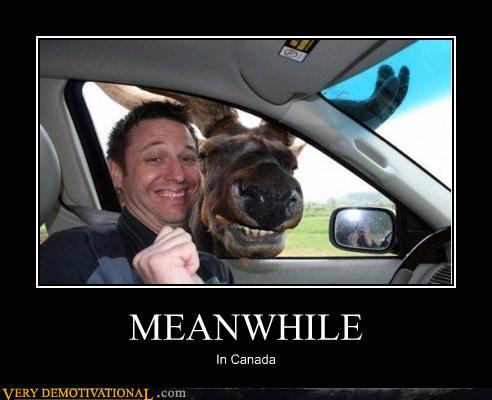 demotivational-meanwhile-in-canada.jpg