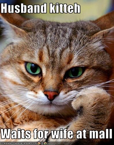 funny-pictures-cat-waits-for-his-wife.jpg