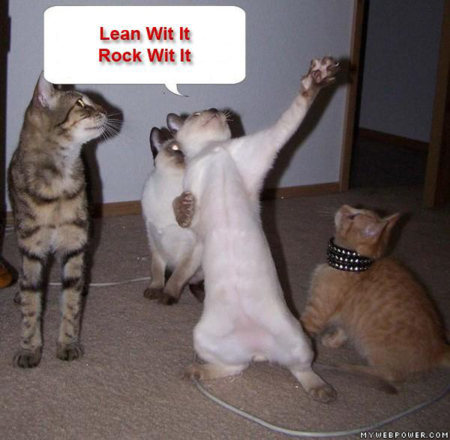 lean_wit_it_rock_wit_it_cat.jpg